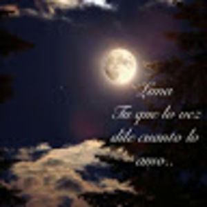 Meet your Posher, Jose